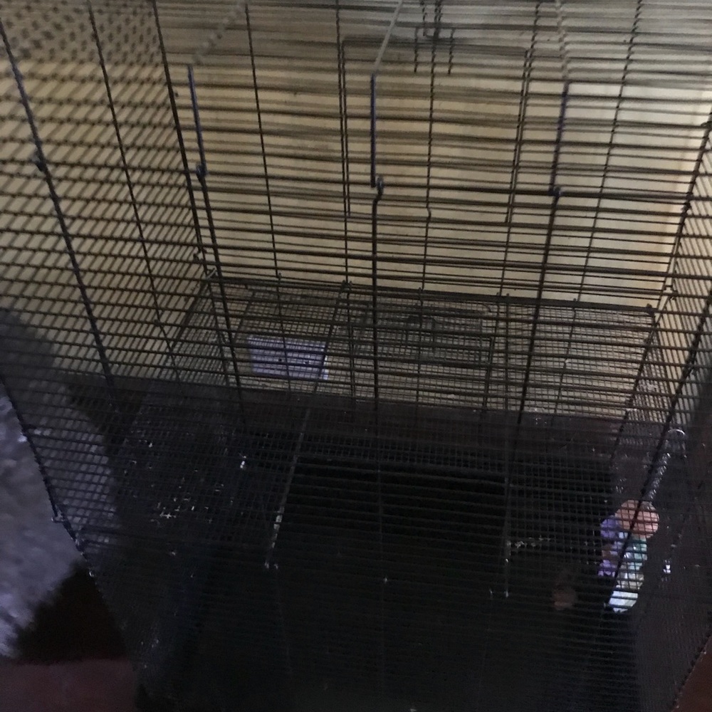 Large animal cages